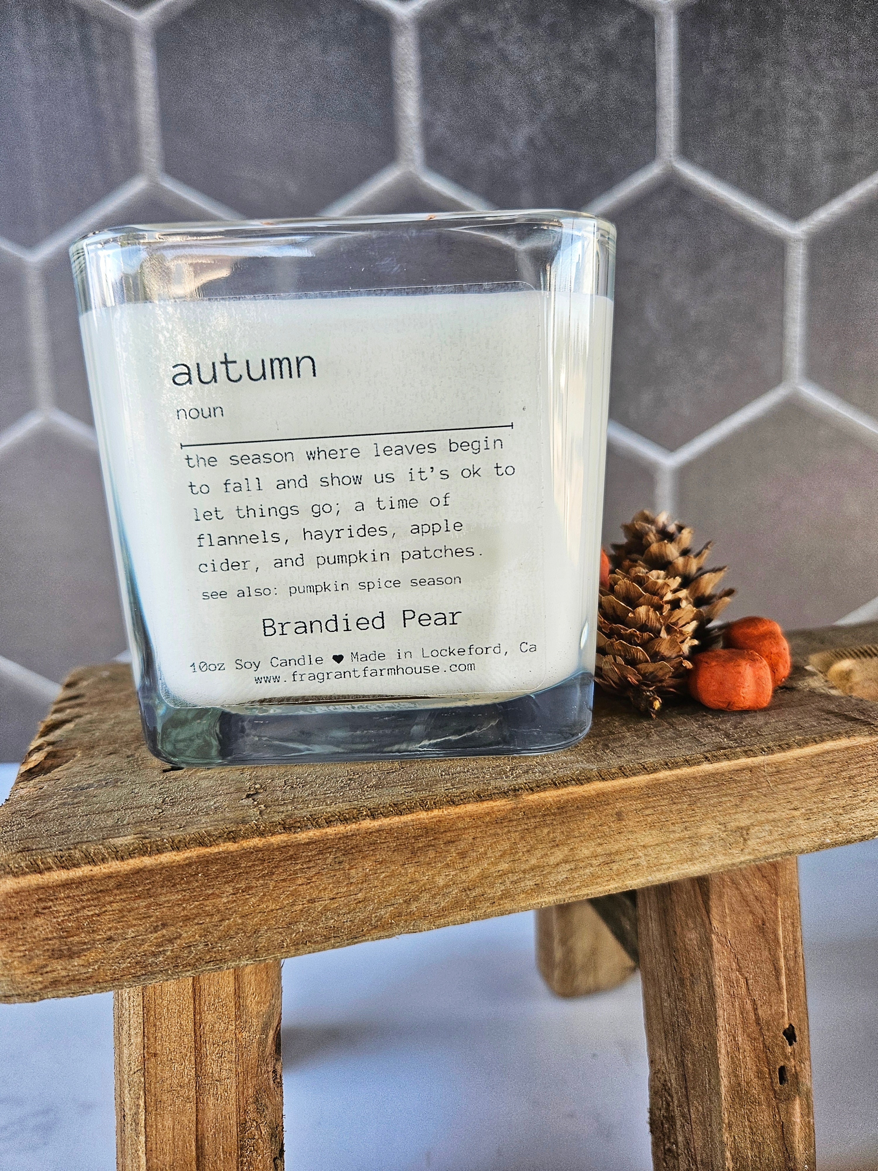 autumn (n) Soy Candle