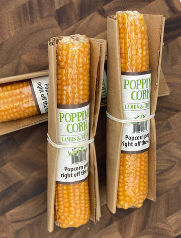 Popping Corn on Cob