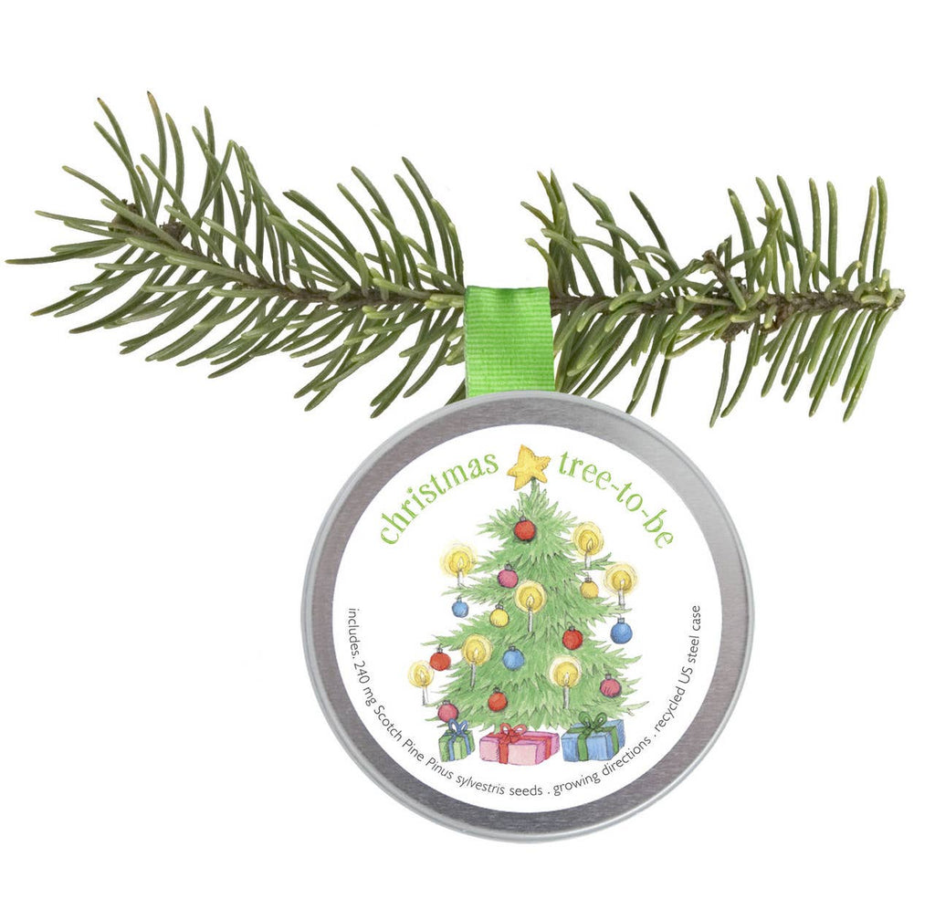 Garden Sprinkle Holiday Ornament | Christmas Tree-to-Be